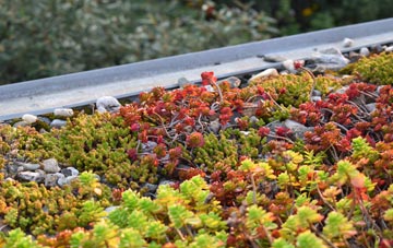 the cost of Battlescombe green roof installation