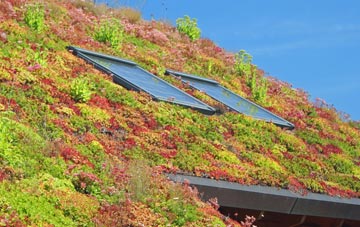 Battlescombe living roof systems